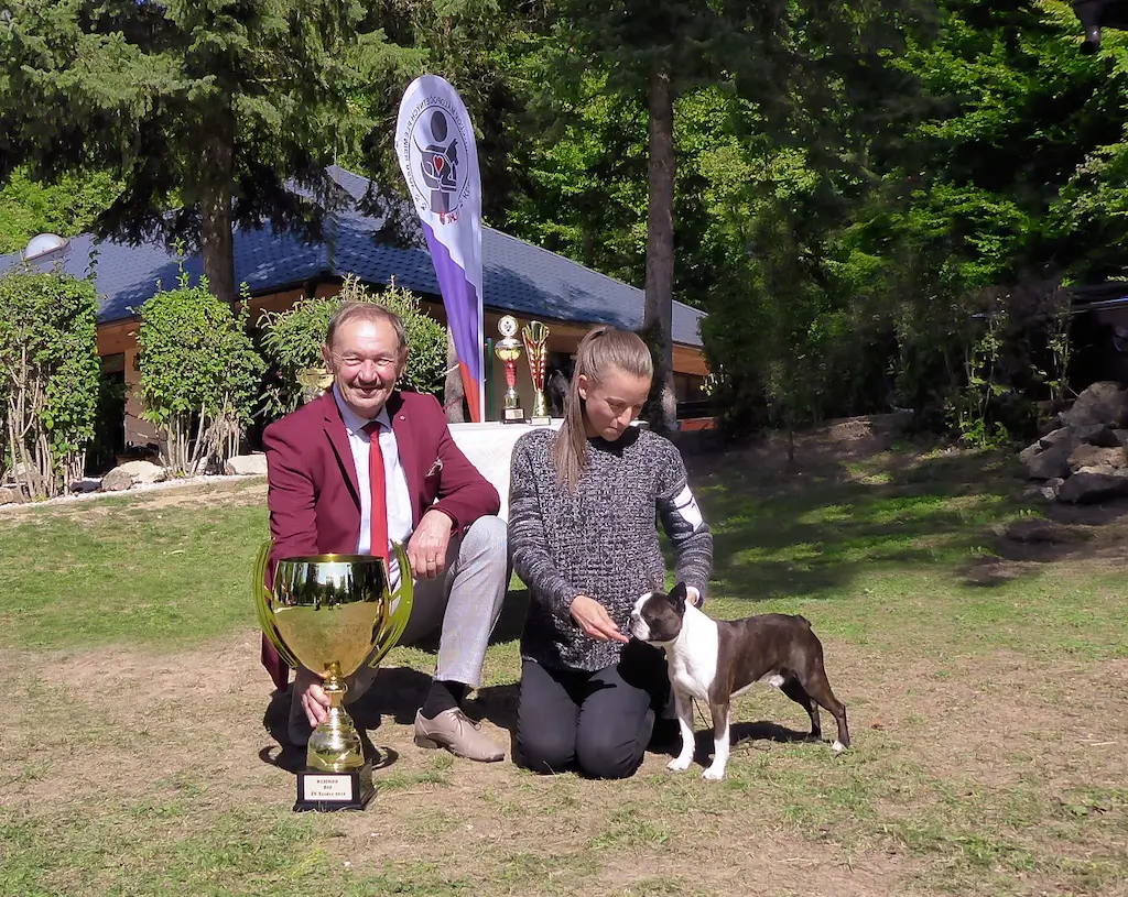 BEST IN SHOW Boston terrier BOSTON SQARE CUTIE-PIE LOUIS maj.: Miroslava Kupková