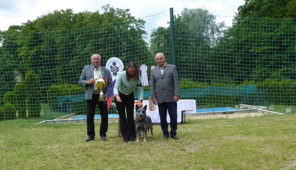 8.-19.05.2024 ŠV Prašník-Dúbrava BEST IN SHOW