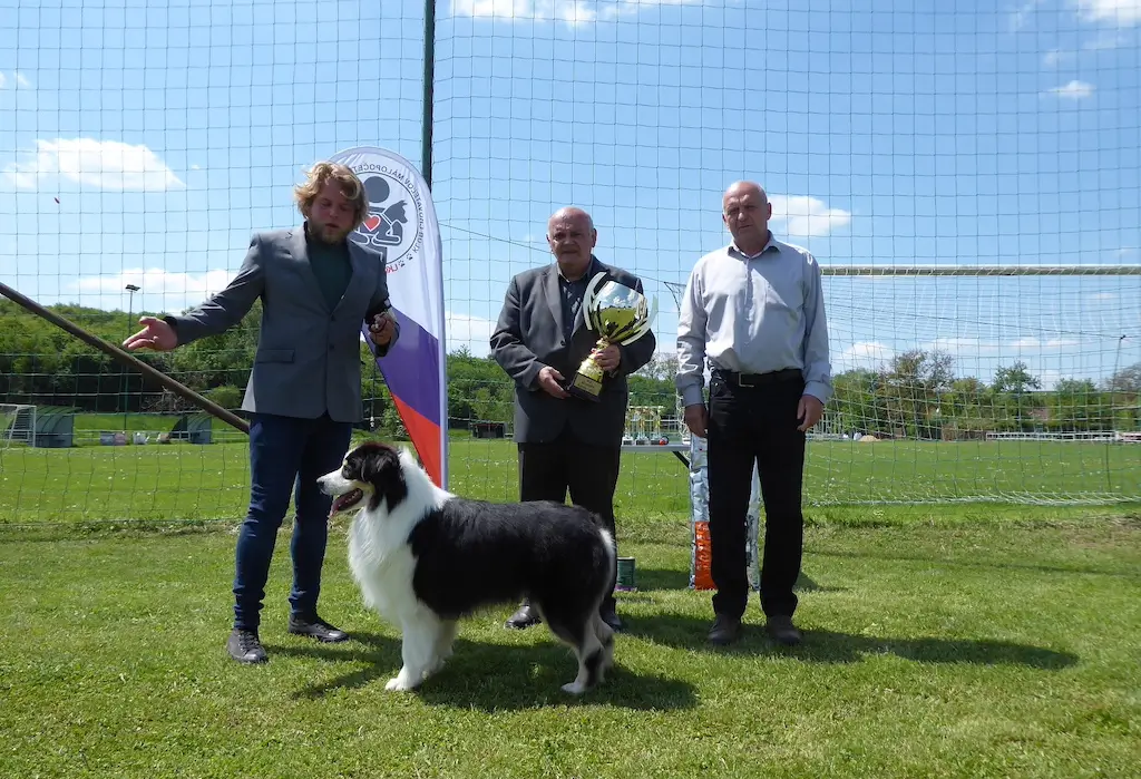 BEST IN SHOW Austrálsky ovčiak BÉĎA SRDCOVÉ ESO maj.: Marek Medvecký